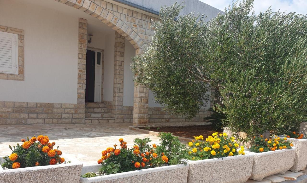 Villa Senka Nečujam Exterior foto