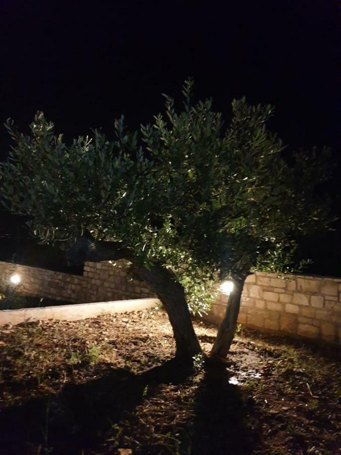 Villa Senka Nečujam Exterior foto